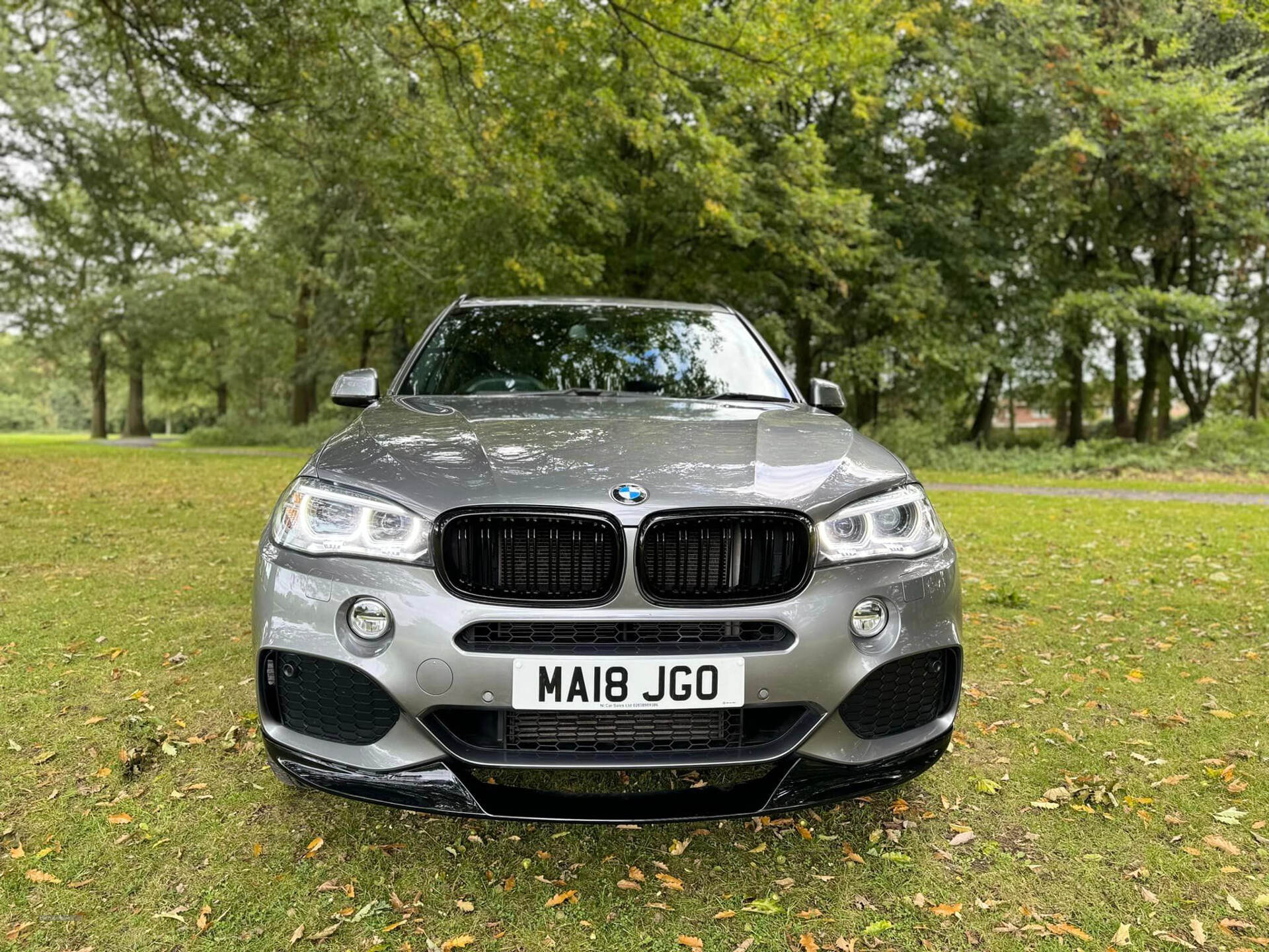 BMW X5 DIESEL ESTATE in Armagh