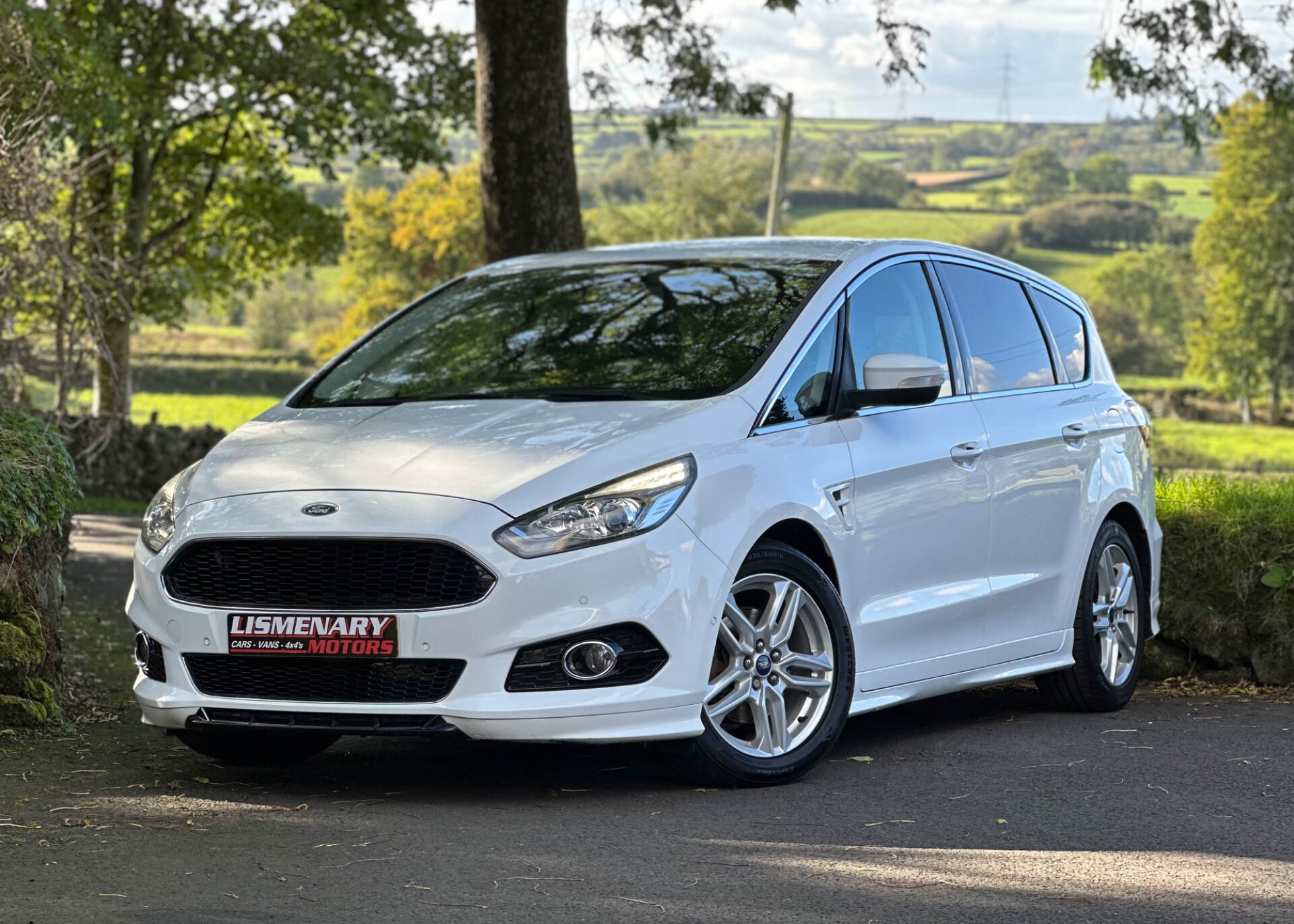 Ford S-Max DIESEL ESTATE in Antrim