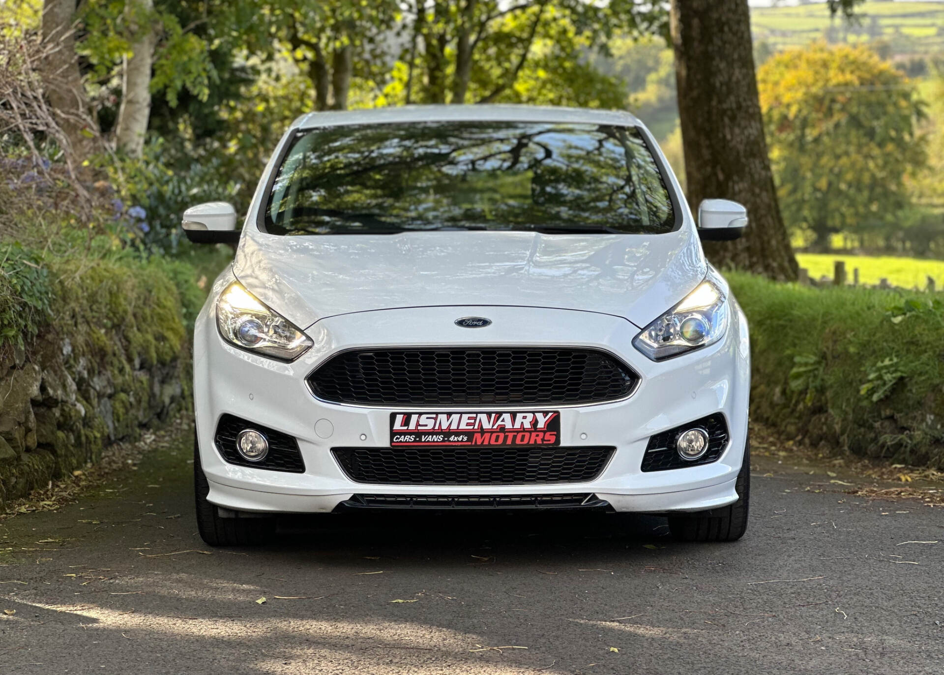 Ford S-Max DIESEL ESTATE in Antrim