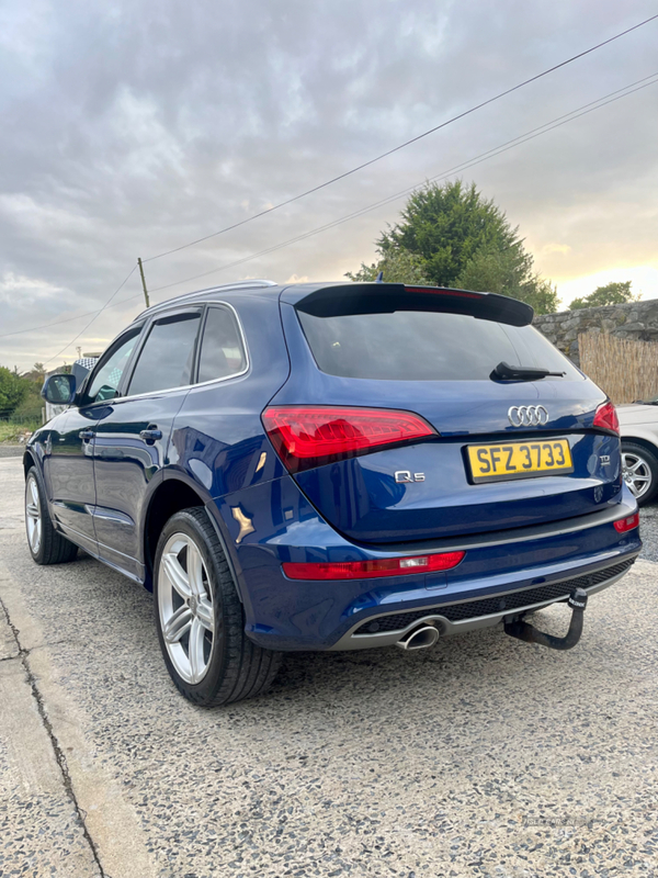 Audi Q5 ESTATE SPECIAL EDITIONS in Down