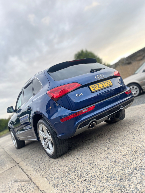 Audi Q5 ESTATE SPECIAL EDITIONS in Down