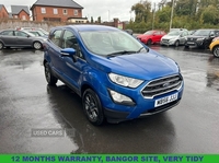 Ford EcoSport 1.0T EcoBoost Zetec SUV 5dr Petrol Manual Euro 6 (s/s) (125 ps) in Down