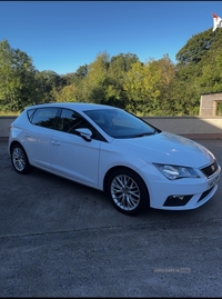 Seat Leon 1.6 TDI SE Dynamic Technology 5dr DSG in Tyrone