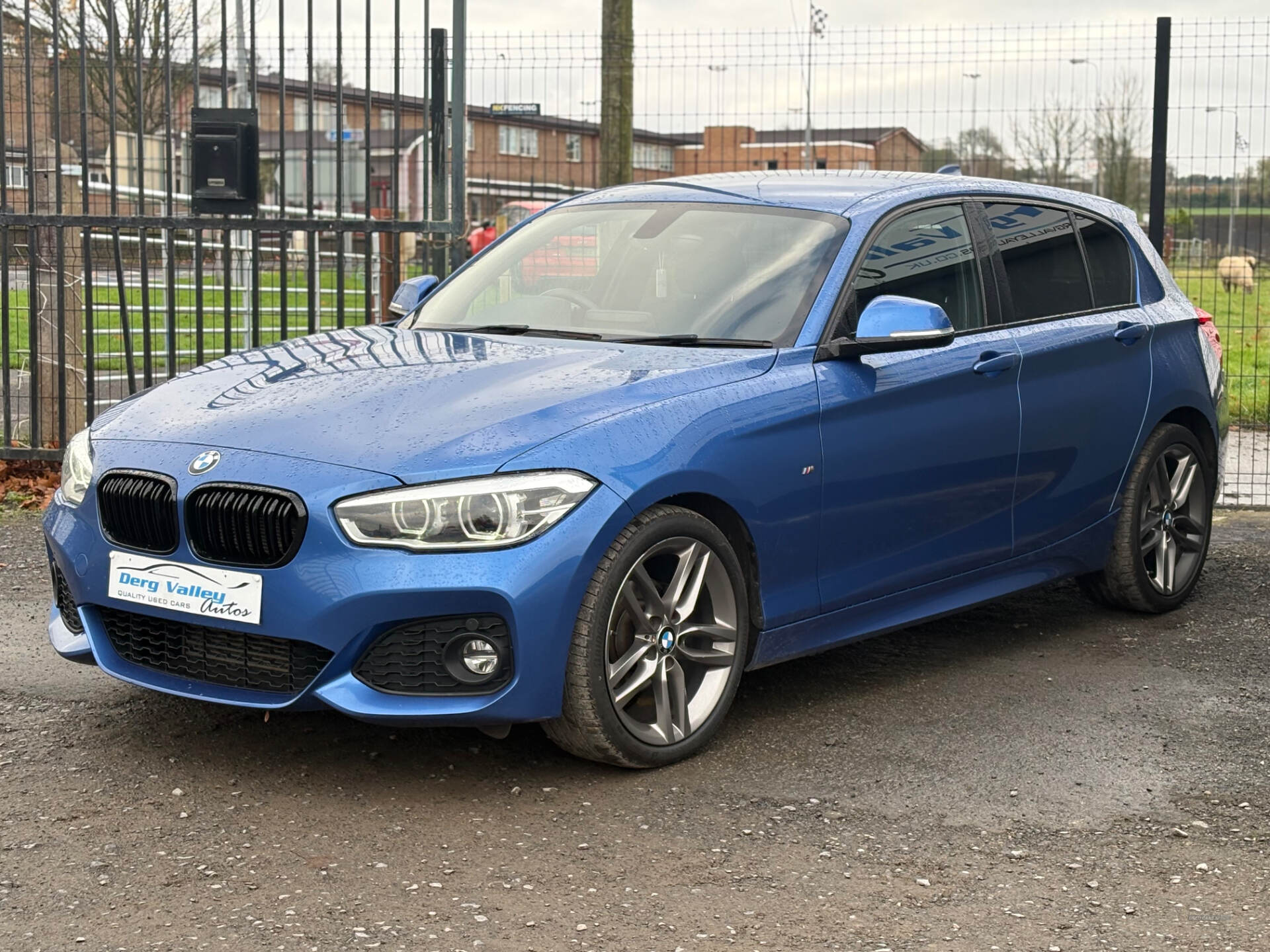 BMW 1 Series DIESEL HATCHBACK in Tyrone