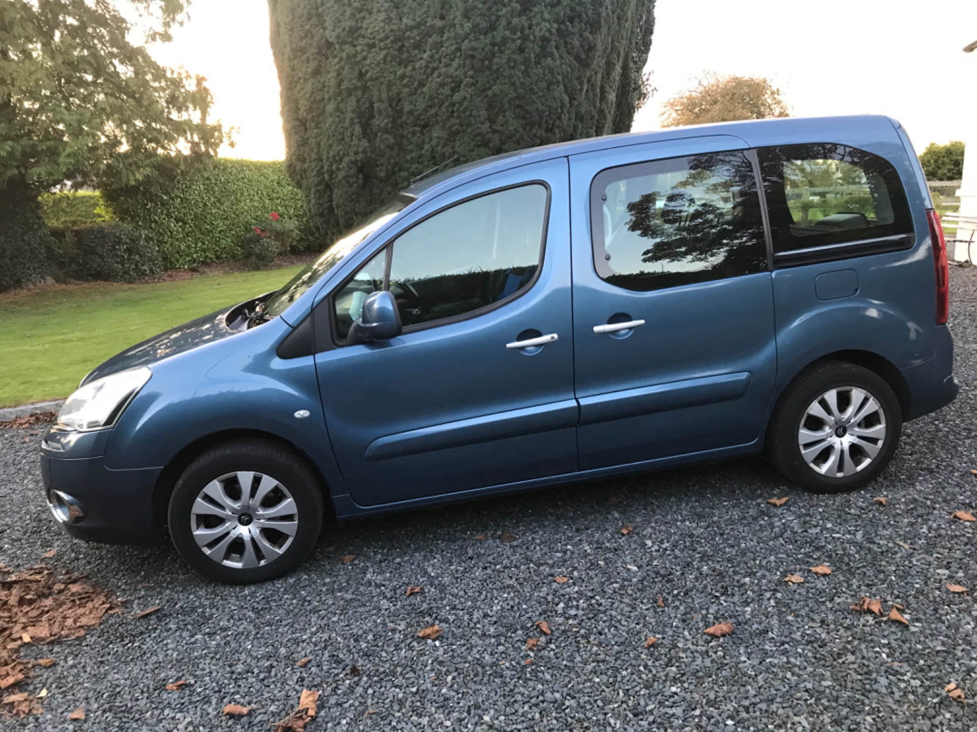 Citroen Berlingo Multispace ESTATE SPECIAL EDITIONS in Down