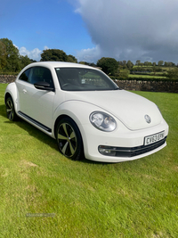 Volkswagen Beetle 2.0 TDI Sport 3dr in Derry / Londonderry