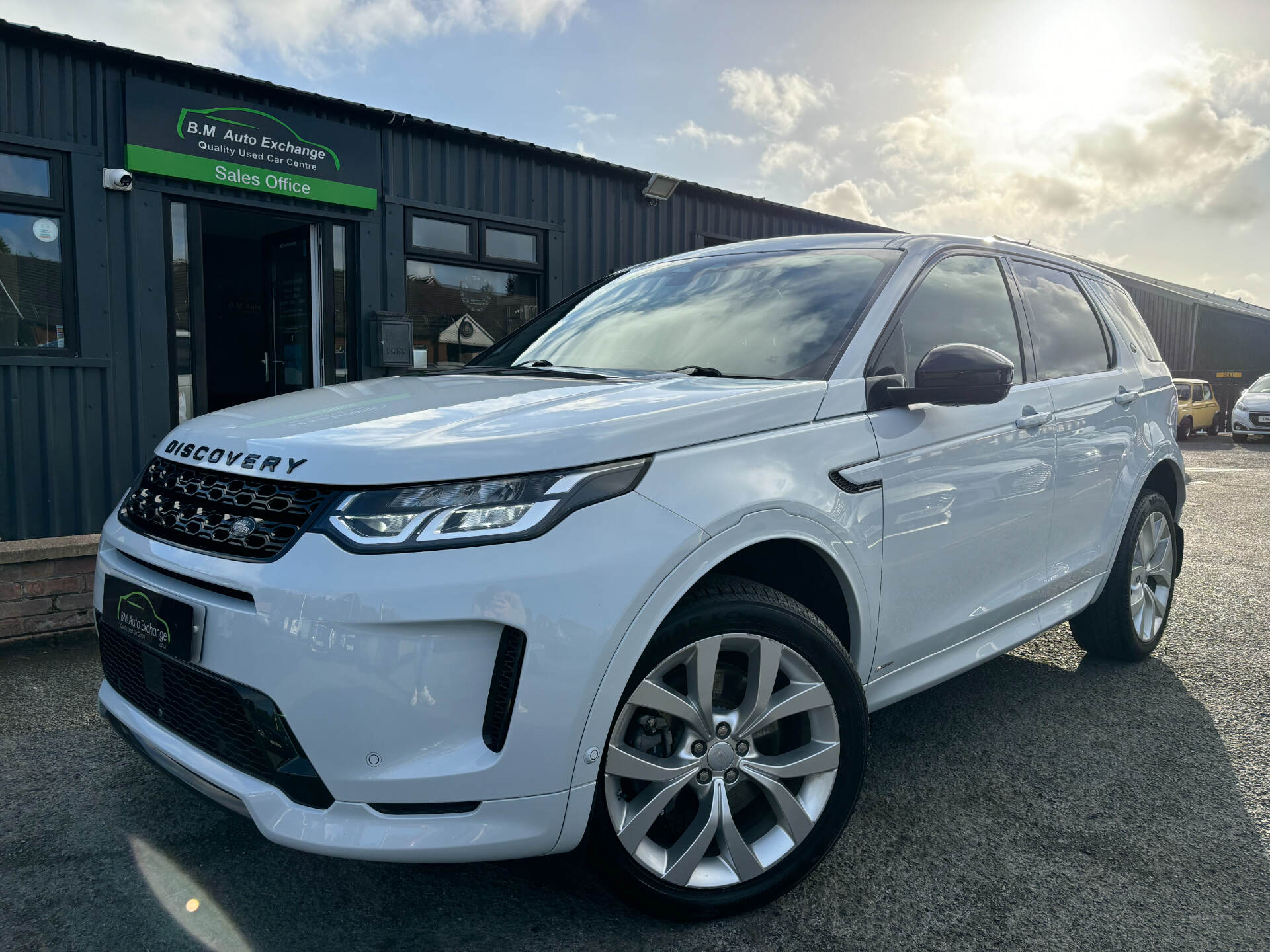 Land Rover Discovery Sport DIESEL SW in Down