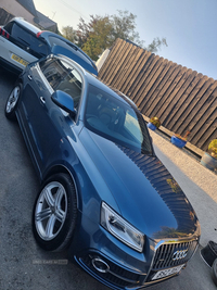 Audi Q5 2.0 TDI Quattro S Line Plus 5dr in Down