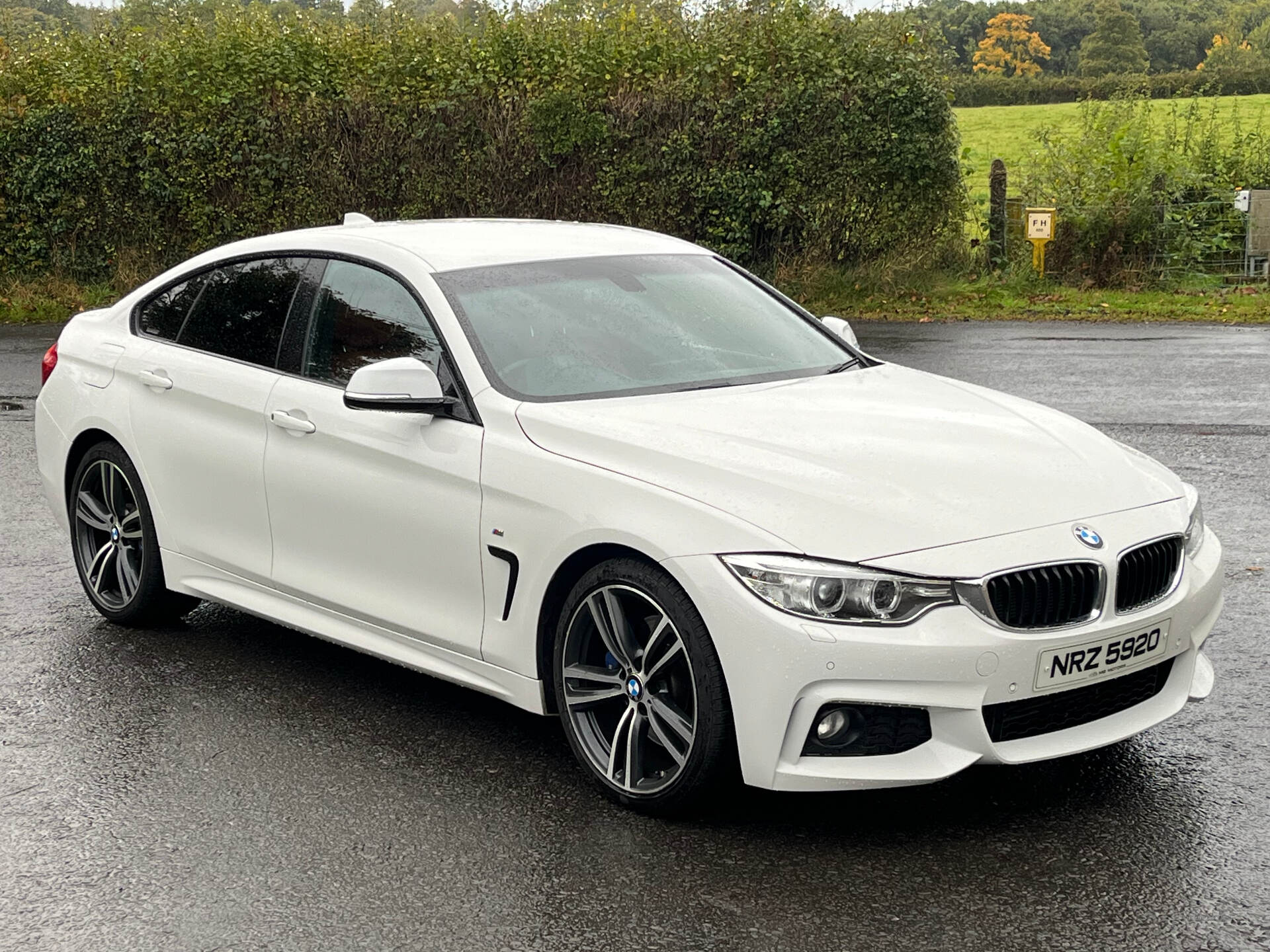 BMW 4 Series GRAN DIESEL COUPE in Antrim