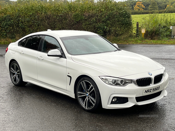 BMW 4 Series GRAN DIESEL COUPE in Antrim