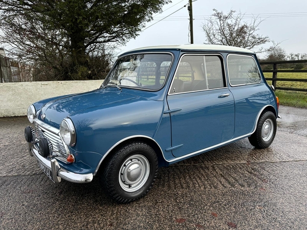 Morris Mini Cooper S 1275 MK2 in Antrim