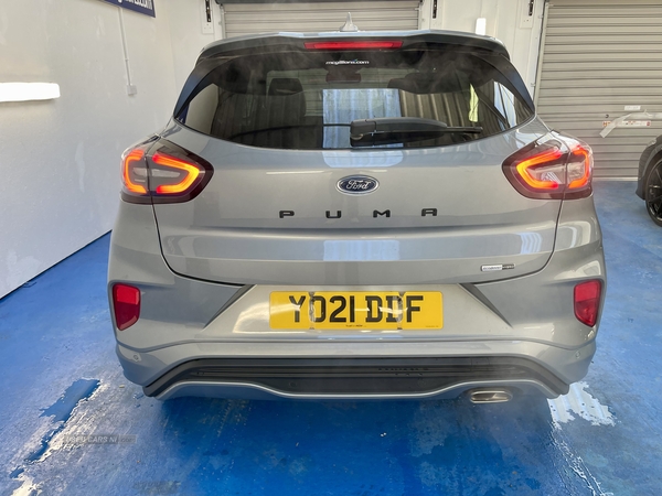 Ford Puma HATCHBACK in Tyrone