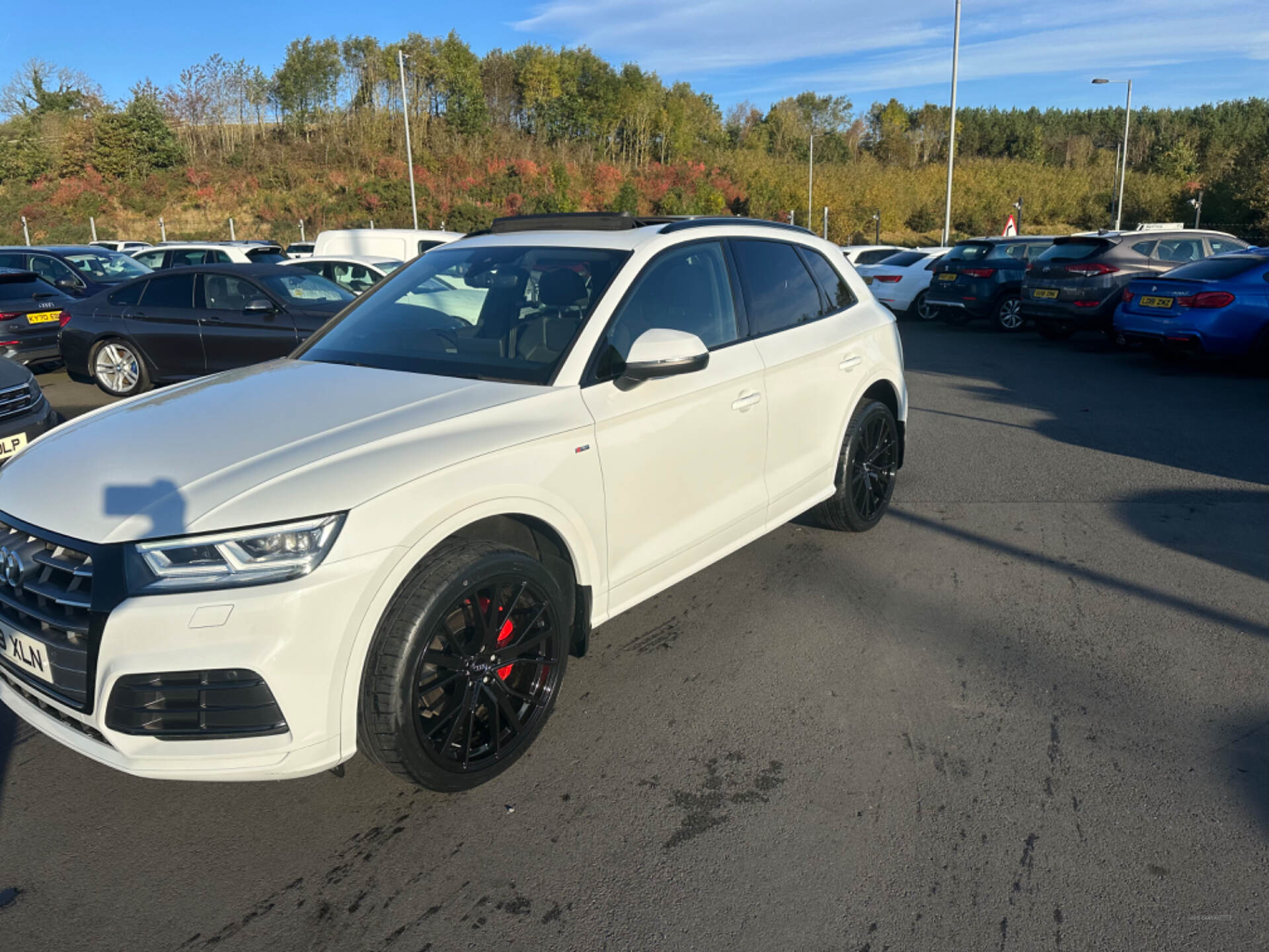 Audi Q5 DIESEL ESTATE in Down