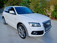 Audi Q5 ESTATE SPECIAL EDITIONS in Down