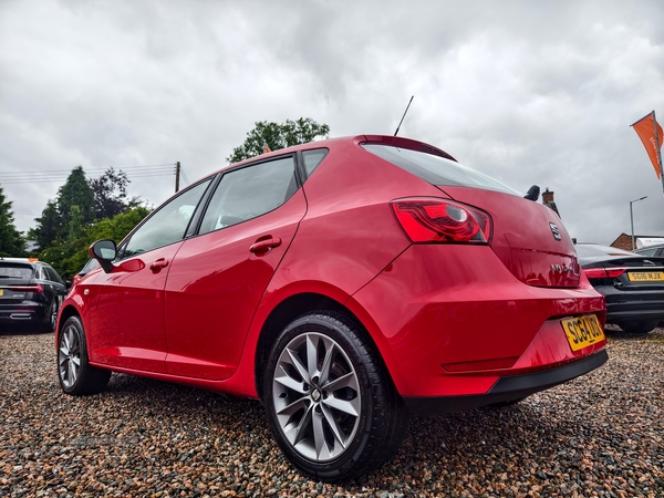 Seat Ibiza HATCHBACK SPECIAL EDITION in Fermanagh