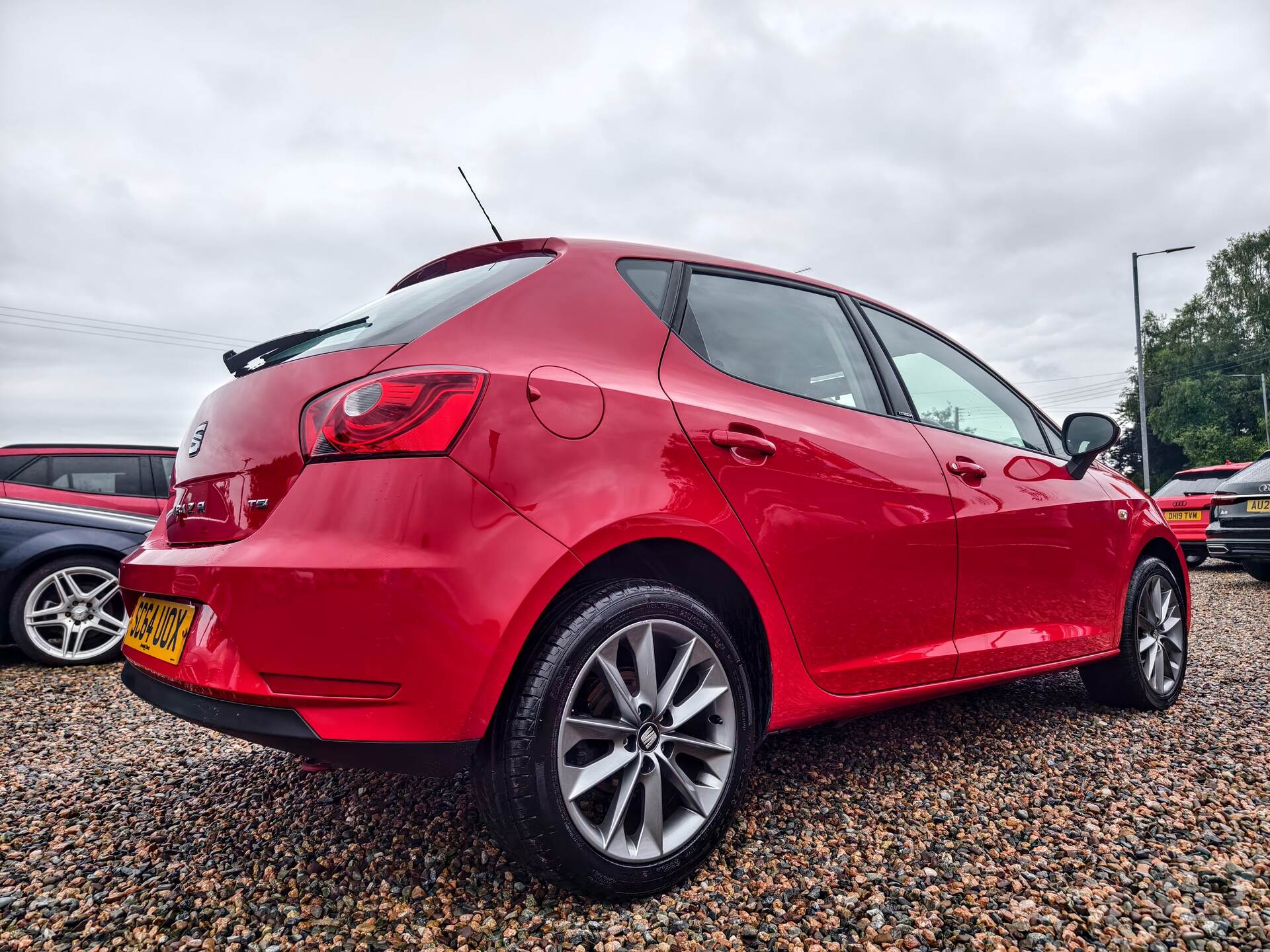 Seat Ibiza HATCHBACK SPECIAL EDITION in Fermanagh