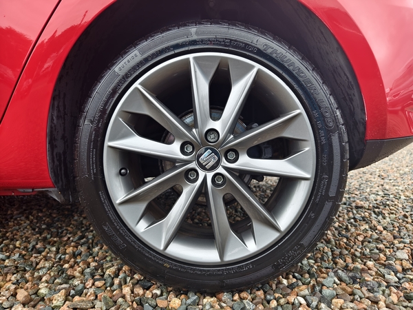 Seat Ibiza HATCHBACK SPECIAL EDITION in Fermanagh