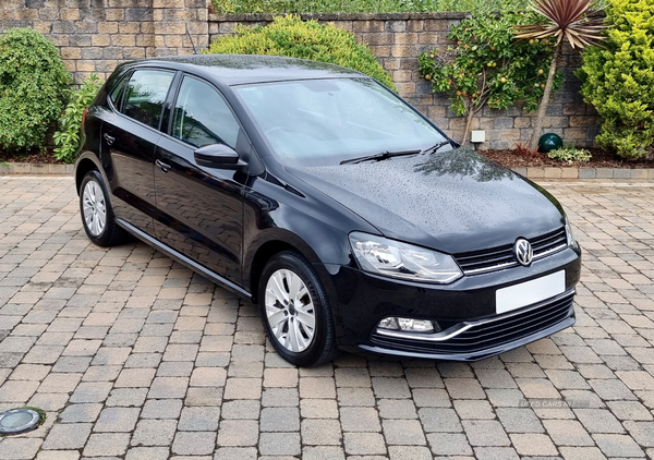 Volkswagen Polo HATCHBACK in Armagh