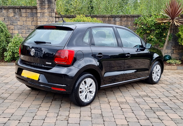 Volkswagen Polo HATCHBACK in Armagh