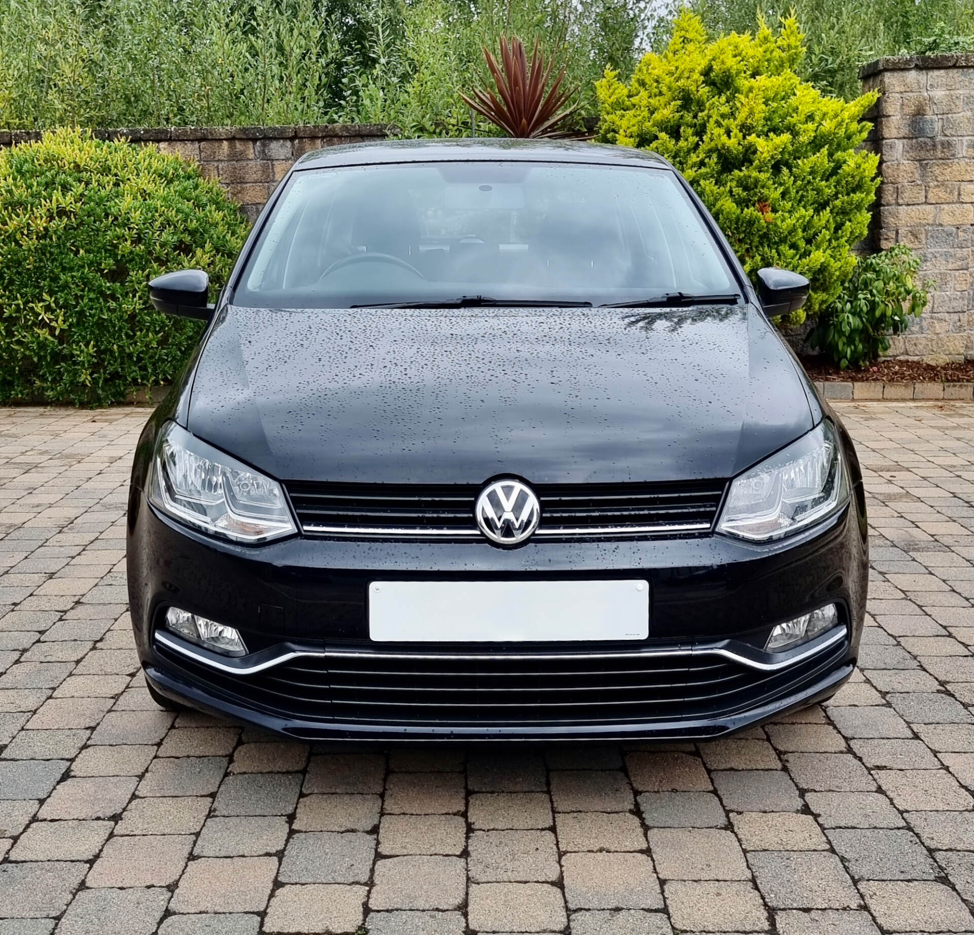 Volkswagen Polo HATCHBACK in Armagh