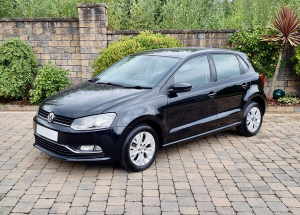 Volkswagen Polo HATCHBACK in Armagh