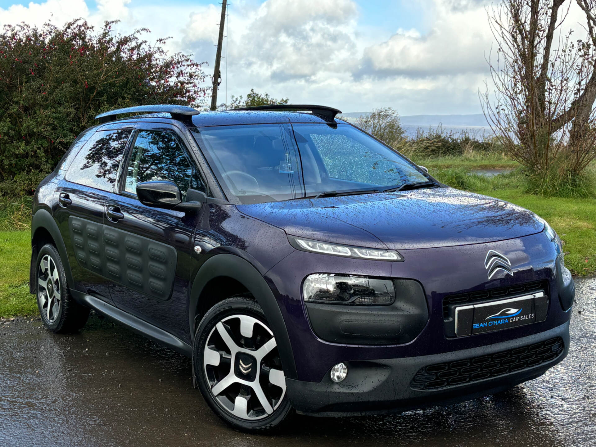 Citroen C4 Cactus HATCHBACK in Derry / Londonderry