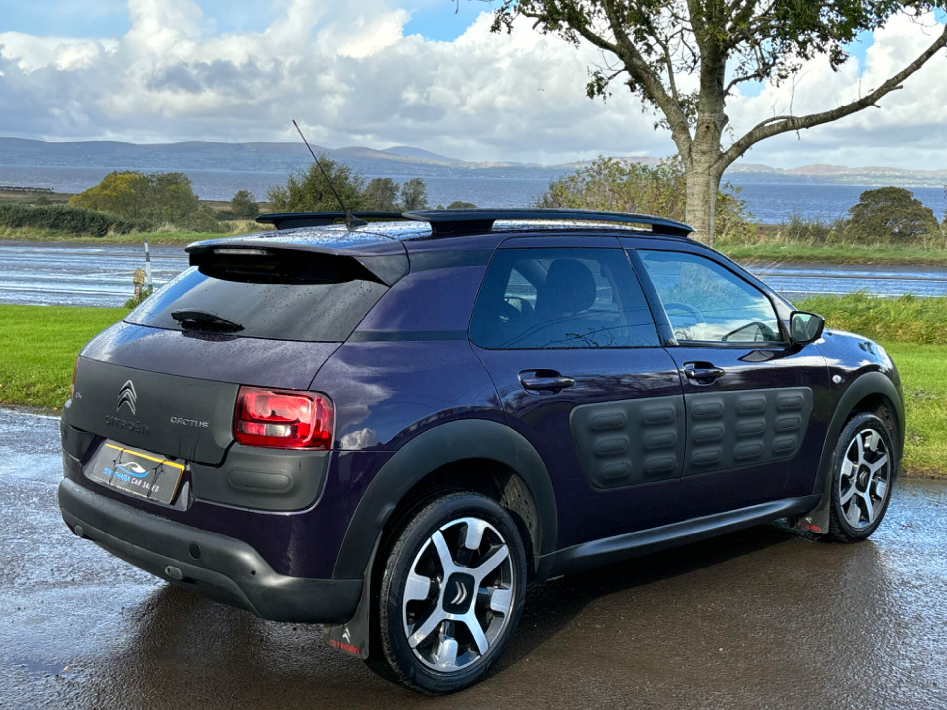 Citroen C4 Cactus HATCHBACK in Derry / Londonderry