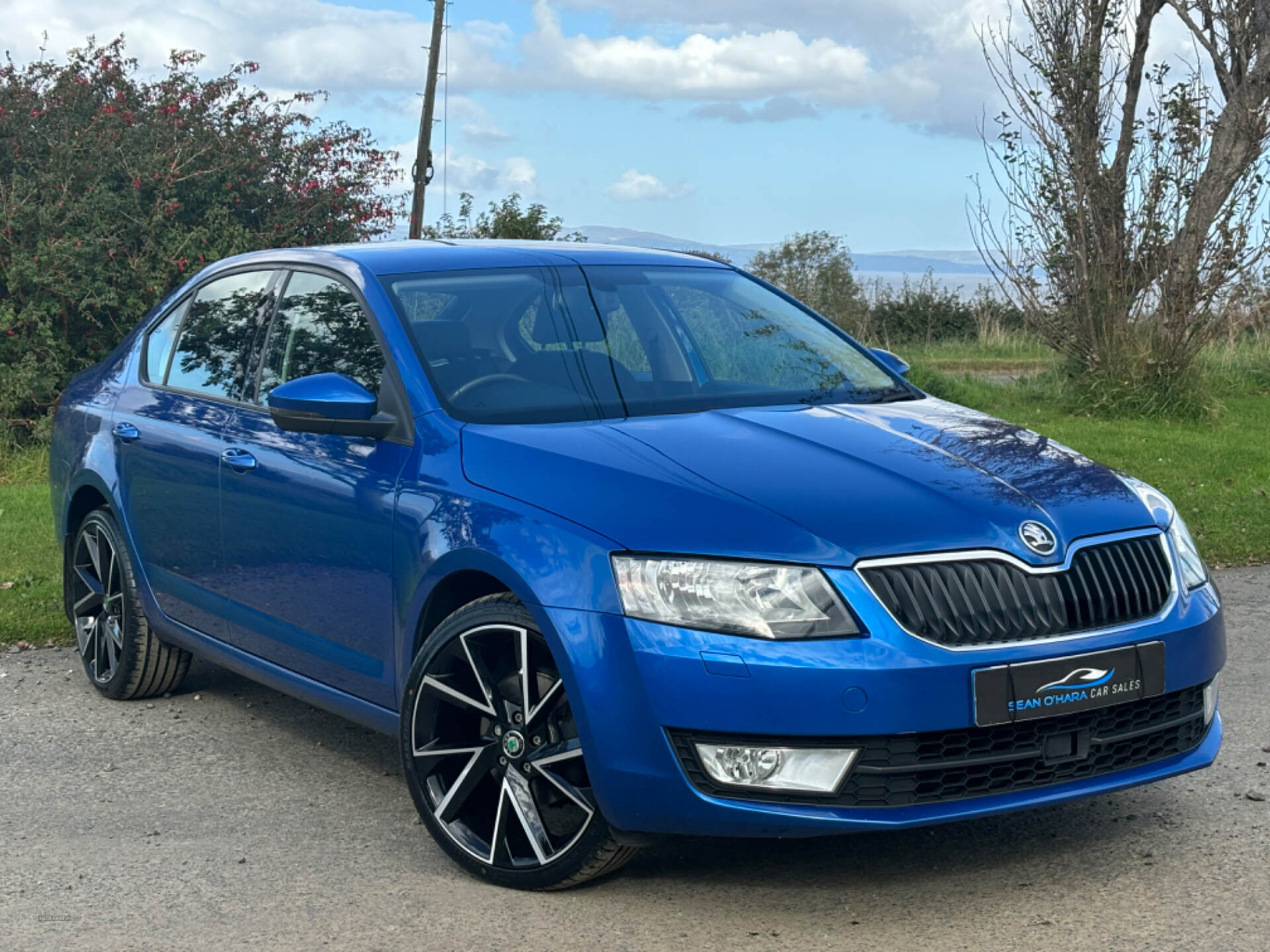 Skoda Octavia DIESEL HATCHBACK in Derry / Londonderry