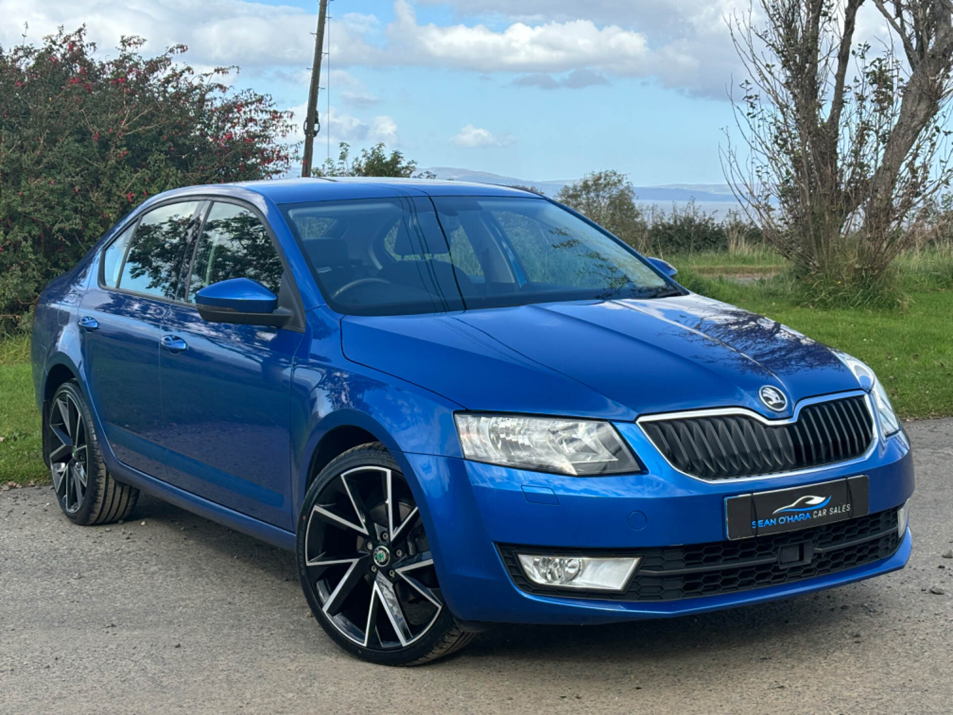 Skoda Octavia DIESEL HATCHBACK in Derry / Londonderry