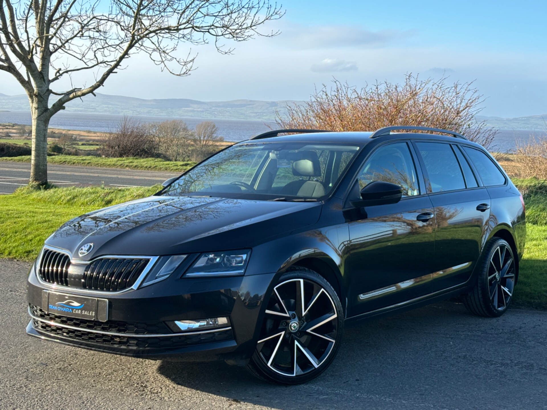 Skoda Octavia DIESEL ESTATE in Derry / Londonderry