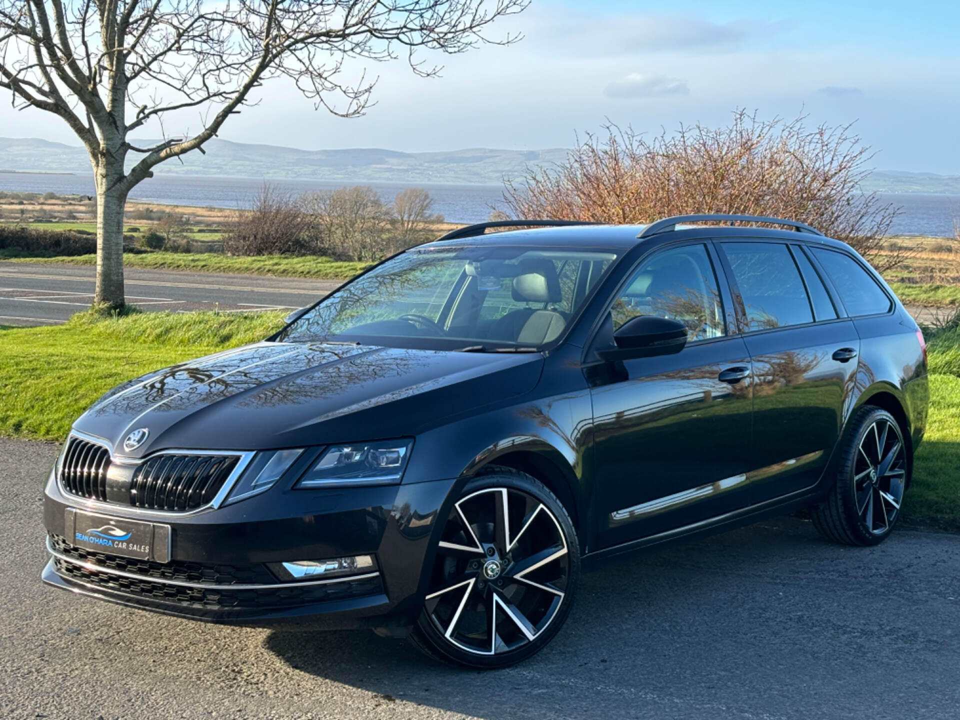 Skoda Octavia DIESEL ESTATE in Derry / Londonderry