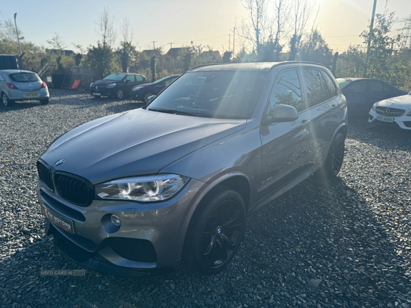 BMW X5 DIESEL ESTATE in Armagh