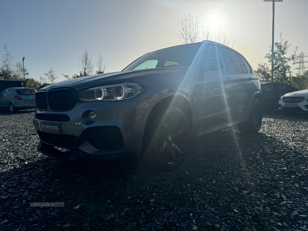 BMW X5 DIESEL ESTATE in Armagh