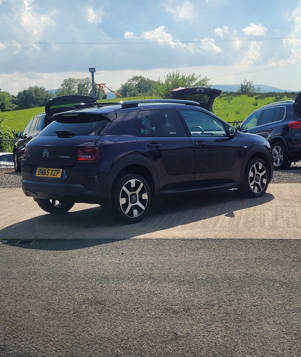 Citroen C4 Cactus DIESEL HATCHBACK in Fermanagh