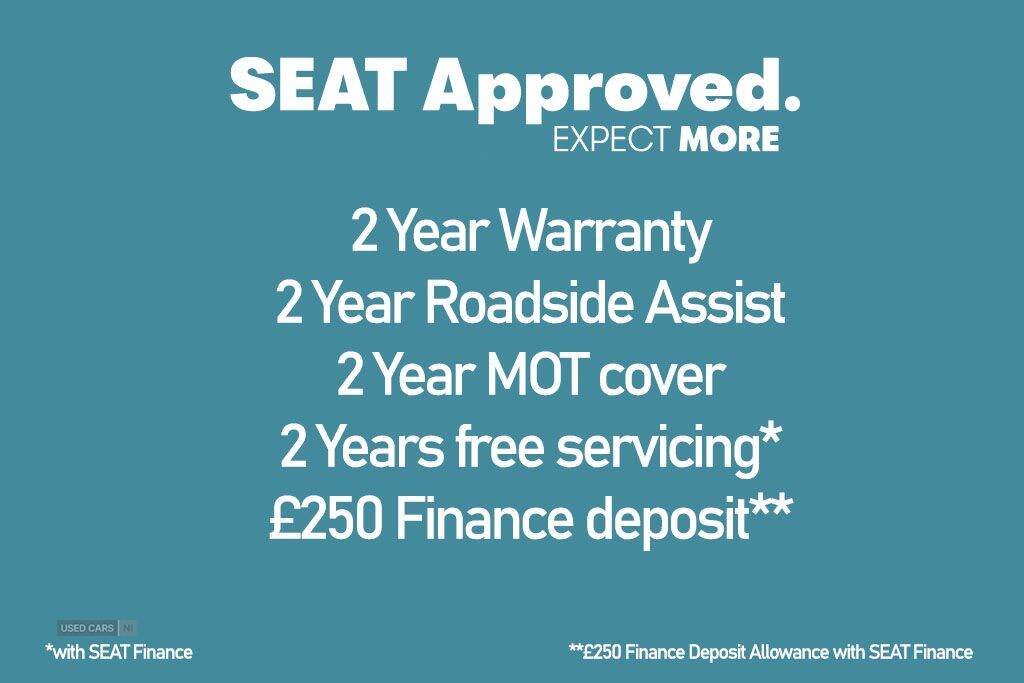  2024 Seat Ibiza FR Sport