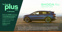 Skoda Kamiq SE Drive 1.0 TSI 110 PS 6G Man in Antrim