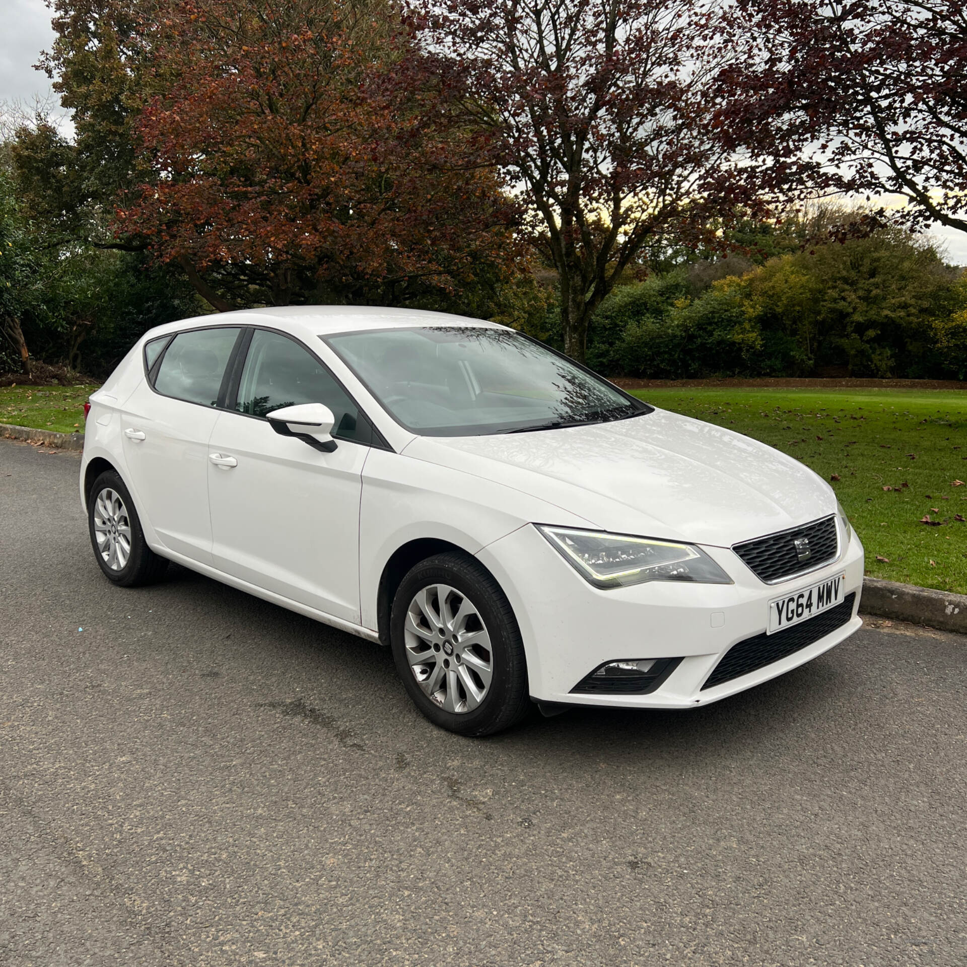 Seat Leon DIESEL HATCHBACK in Tyrone