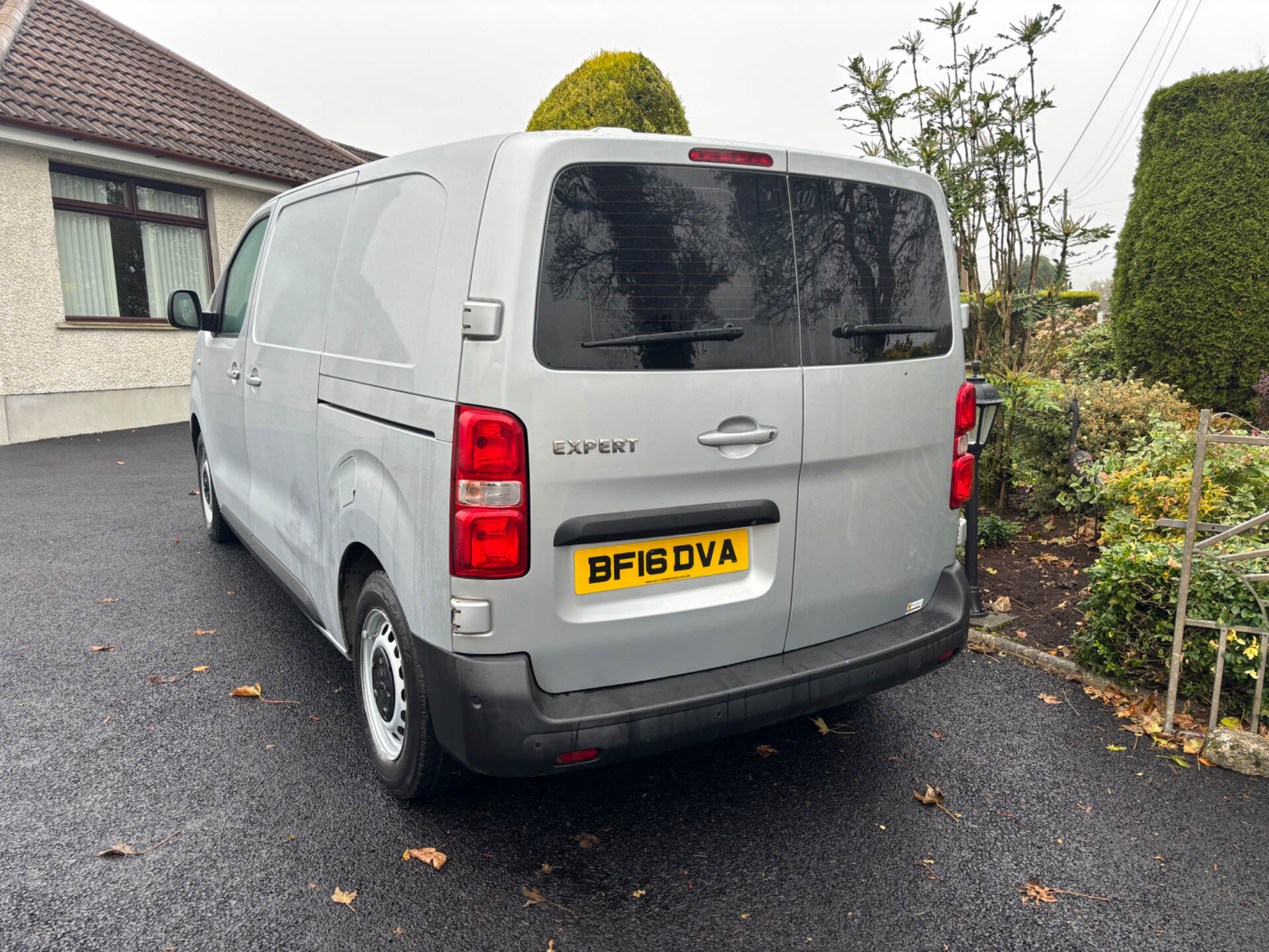 Peugeot Expert 1.6 Blue HDi in Antrim