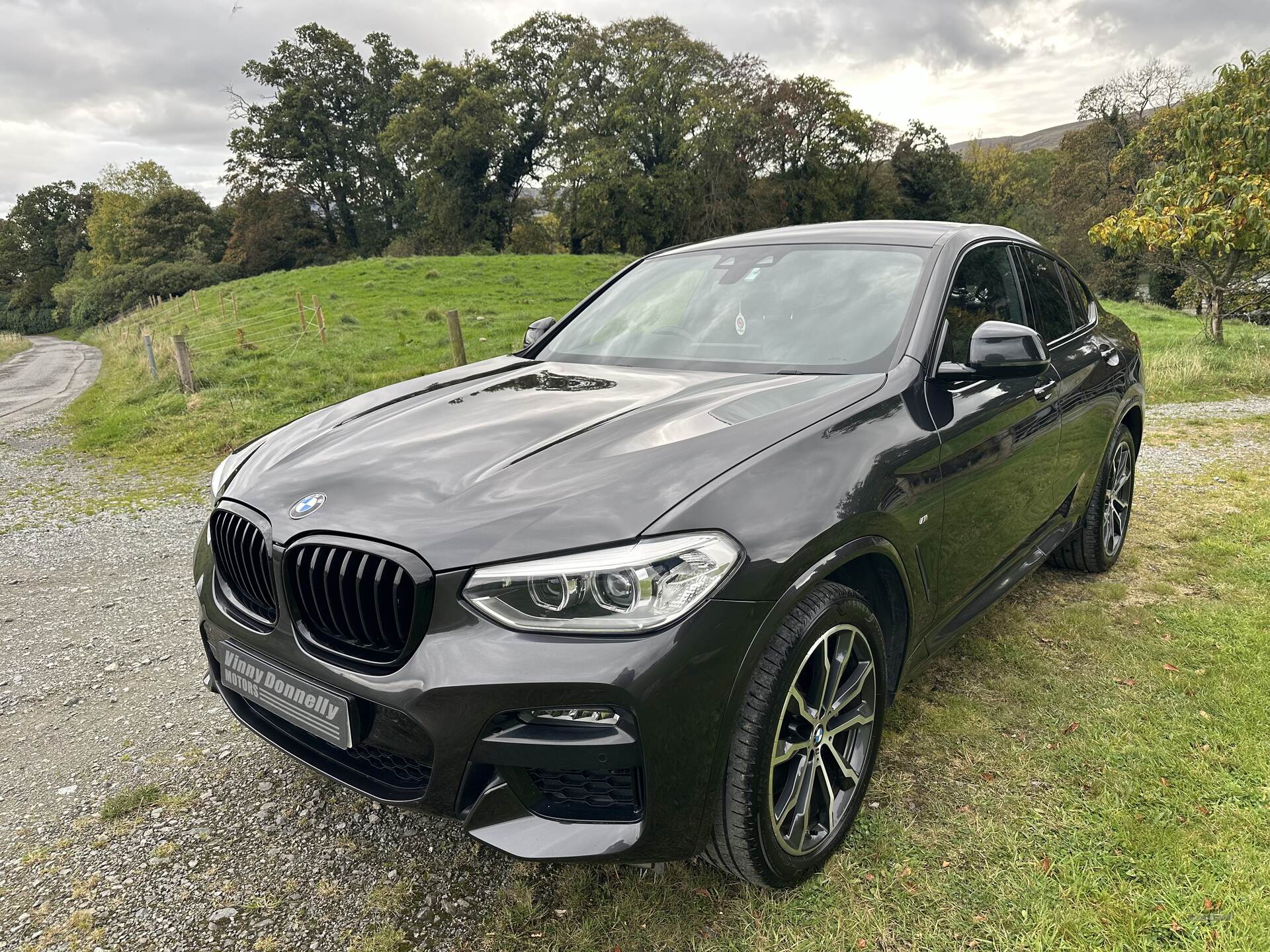 BMW X4 DIESEL ESTATE in Down