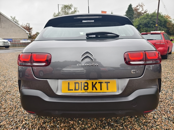 Citroen C4 Cactus HATCHBACK SPECIAL EDITIONS in Fermanagh