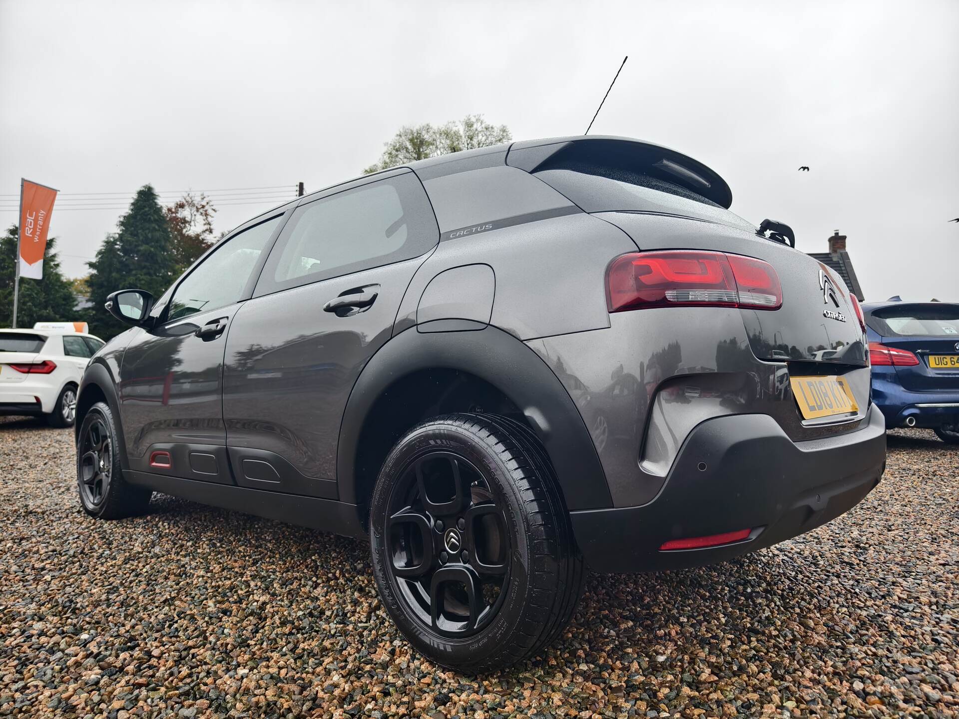 Citroen C4 Cactus HATCHBACK SPECIAL EDITIONS in Fermanagh