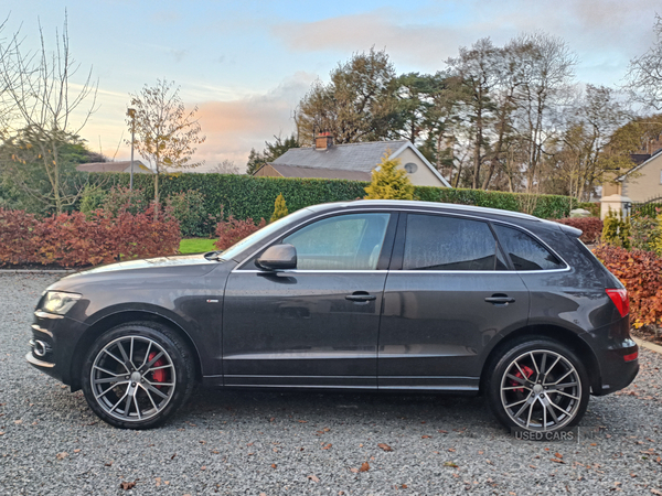 Audi Q5 ESTATE SPECIAL EDITIONS in Tyrone