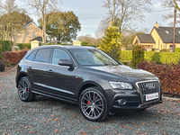 Audi Q5 ESTATE SPECIAL EDITIONS in Tyrone