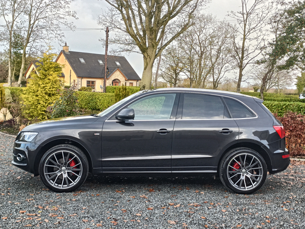 Audi Q5 ESTATE SPECIAL EDITIONS in Tyrone