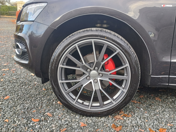 Audi Q5 ESTATE SPECIAL EDITIONS in Tyrone