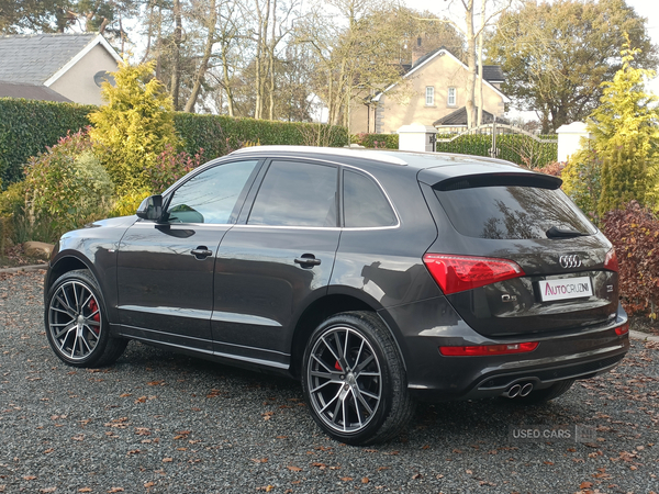 Audi Q5 ESTATE SPECIAL EDITIONS in Tyrone