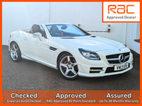 Mercedes SLK-Class 250 Cdi Blueefficiency Amg Sport 250 2.1 CDi AMG Sport in Armagh