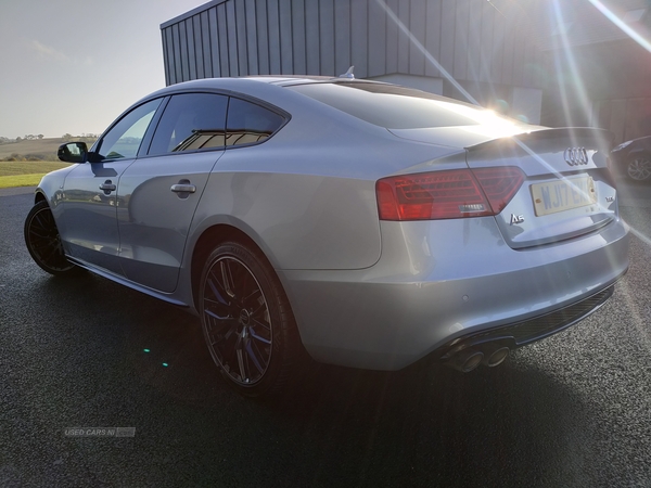 Audi A5 SPORTBACK SPECIAL EDITIONS in Armagh