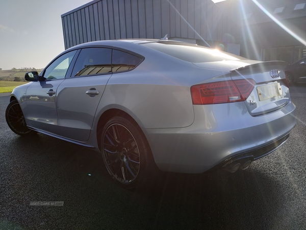 Audi A5 SPORTBACK SPECIAL EDITIONS in Armagh