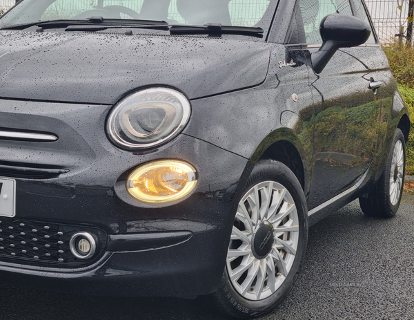 Fiat 500 HATCHBACK in Armagh